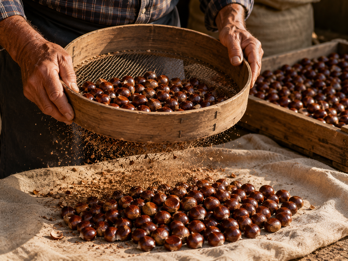 Organic Turkish Chestnuts (Castanea) - 400g or 800g