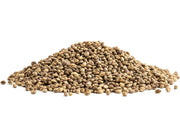Atoliry Hemp Seeds (Hulled) – Mild Nutty Edible Seeds for Smoothies, Salads & Baking