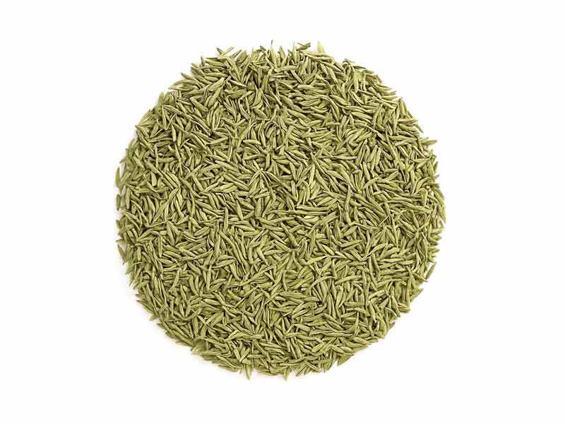 Premium Dried Thyme Leaves - Aromatic Culinary Herb