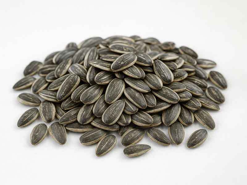 Roasted & Salted Sunflower Seeds – Premium Harvest of the Year – Product of Turkey